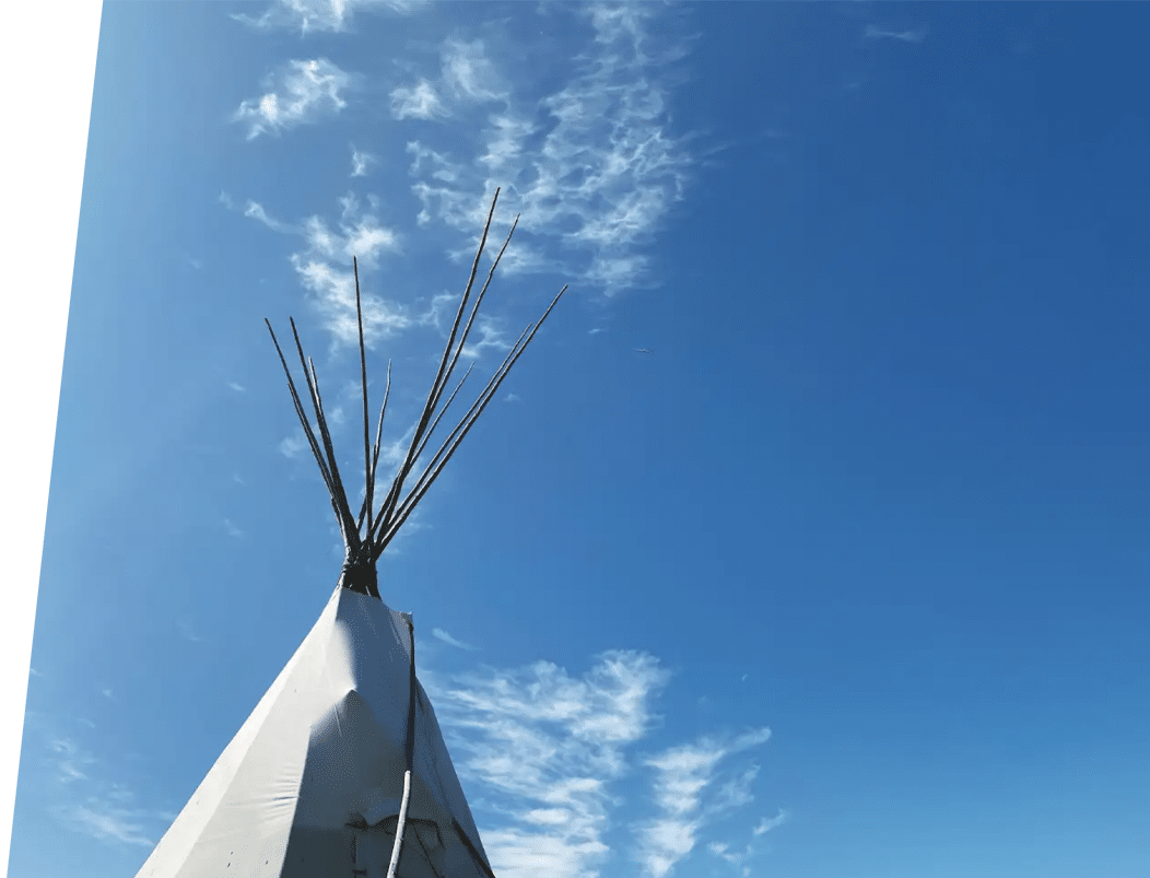 indigenous